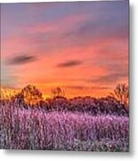 Moraine Hills State Park Moments Before Sunrise Metal Print