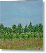 Prairie Morning Light Metal Print