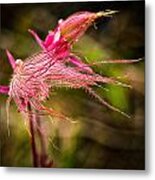 Prairie Smoke Metal Print