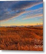 Prairie Sunburst Metal Print