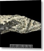 Prehistoric Flint Hand-axe Metal Print