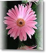 Pretty In Pink Metal Print