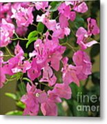 Pretty In Pink Metal Print