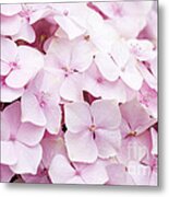 Pretty In Pink Metal Print