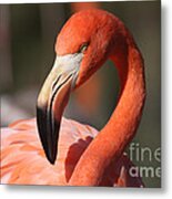 Pretty Pose Metal Print