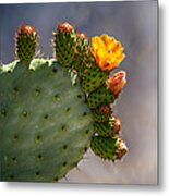 Prickly Pear Cactus Flower Metal Print