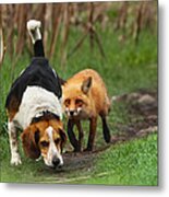 Probably The World's Worst Hunting Dog Metal Print