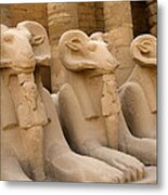 Protectors Of The Ages Metal Print