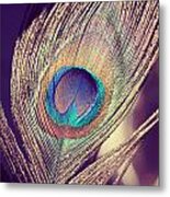 Proud As A Peacock Metal Print