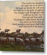 Sheep And The 23rd Psalm Metal Print
