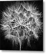 Puff Glow Metal Print