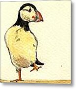 Puffin Bird Metal Print