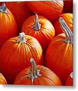 Pumpkin Orange Metal Print