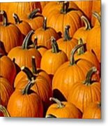 Pumpkins Metal Print