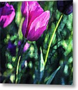 Purple And Pink Tulip Companions Metal Print