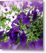 Purple And White Petunias Metal Print