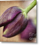 Purple Bliss Metal Print