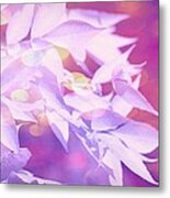 Purple Metal Print