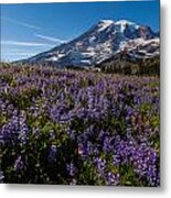 Purple Fields Forever And Ever Metal Print