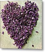Purple Heart Metal Print