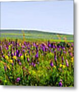 Purple Hills Metal Print