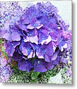 Purple Hydrangea Abstract Metal Print