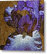 Purple Iris Gold Leaf Metal Print