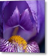 Purple Iris Macro Textured 1 Metal Print