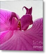 Purple Pretty Metal Print