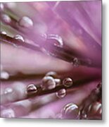 Purple Rain Metal Print