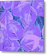 Purple Rose Clippings 1 Metal Print