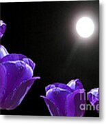 Purple Tulips In The Moonlight Metal Print