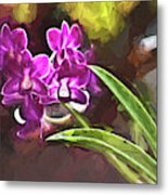 Purple Vanda Orchid  Honolulu, Oahu Metal Print