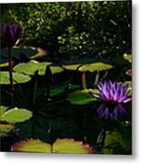 Purplette Metal Print