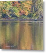 Quiet Autumn Day At The Pond Metal Print