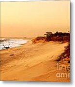 Quiet Summer Sunset Metal Print