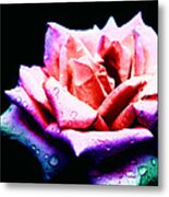 Rachel's Rose Metal Print