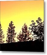 Radiance Of Nature Metal Print