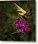 Ragged Wings Metal Print