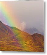 Rainbow Over Fall Tundra In Denali Metal Print