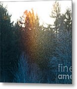 Rainbow Sparkles Metal Print