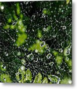 Raindrops In Spiderweb Metal Print