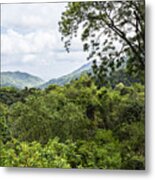 Rainforest Trinidad West Indies Metal Print