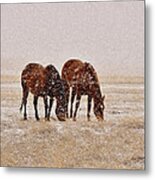 Ranch Horses In Snow Metal Print