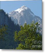 Raven And Mountain Metal Print