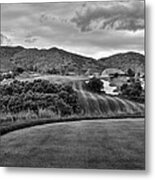 Ravenna Black And White V Metal Print