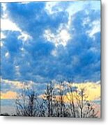 Reach Out And Touch The Sky Metal Print