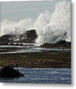 Reaching For The Sky Metal Print