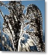 Reaching Out Metal Print