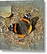 Red Admiral Butterfly - Vanessa Atalanta Metal Print